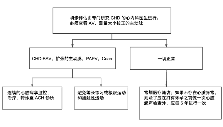 筛查和监测特纳综合征的先天性心血管病的算法（CHD，先天性心脏病；AV，主动脉瓣；BAV，二叶型主动脉瓣；PAPV，部分肺静脉异常；Coarc，缩窄；ACH，成人先天性心脏病；CVS，心血管系统；HTN，高血压）