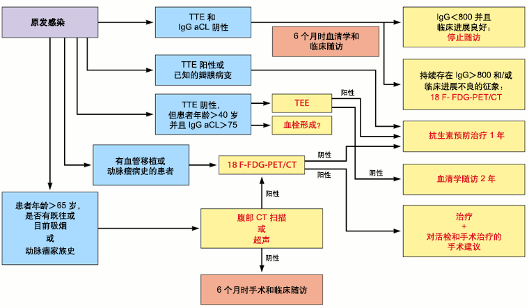 TTE：经胸超声心动图；IgG aCL：IgG 抗心磷脂抗体；18 F FDG-PET/CT：18F-氟脱氧葡萄糖正电子发射断层成像联合计算机断层扫描