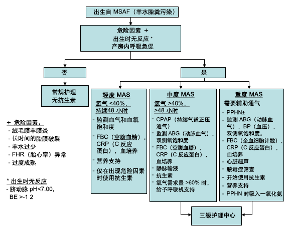 新生儿出生时有羊水粪染，其可能出现的临床表现和管理。 BE：碱过剩；CPAP：持续气道正压通气；FHR：胎心率；IV：静脉；NO：一氧化氮；PPHN：新生儿持续性肺动脉高压