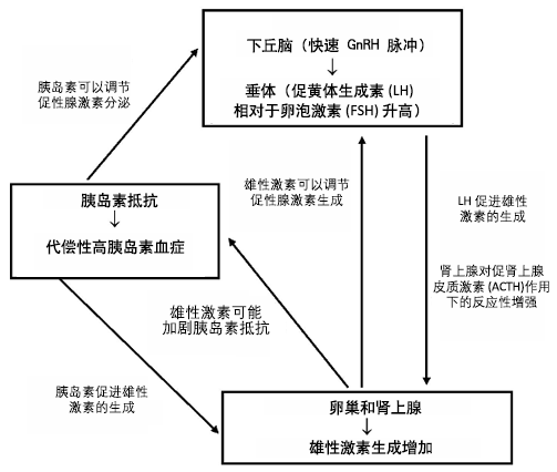141-4-iline.gif