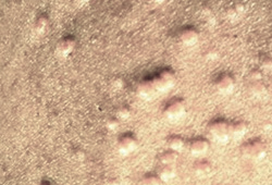 146-1-hlight.jpg
