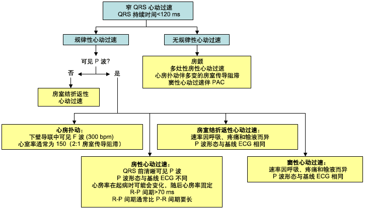 区分房性心动过速与其他窄QRS波群心动过速的诊断程序。AV=房室，PAC=房性早搏。