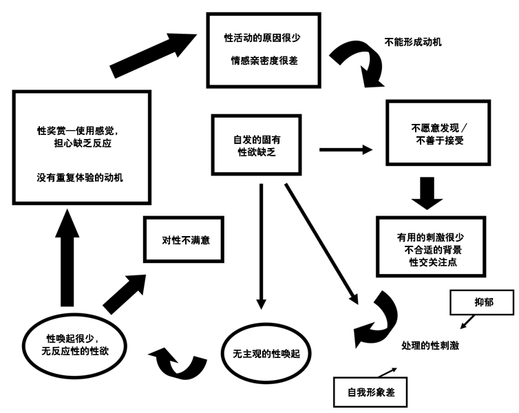 环形反应周期，显示了导致功能障碍的干扰位置