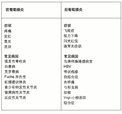 前葡萄膜炎与后葡萄膜炎常见症状和病因的比较