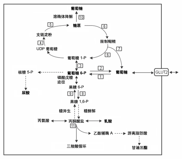 478-2-iline.gif