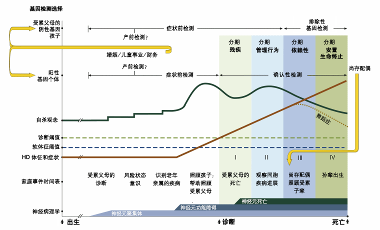 亨廷顿病 (HD) 的生命周期