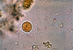 553-1-hlight.jpg