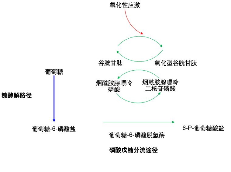 704-3-iline.gif