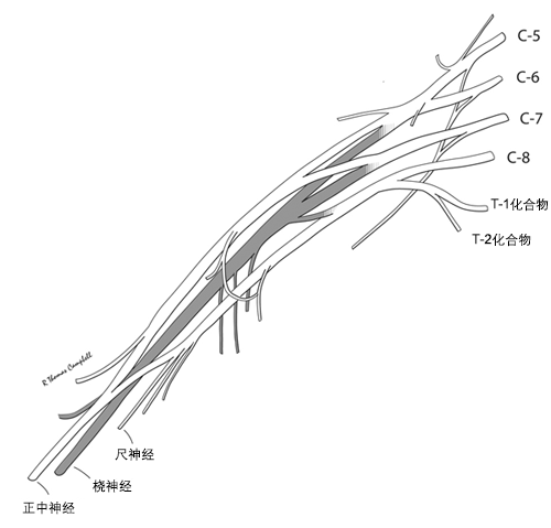 746-2-iline.gif