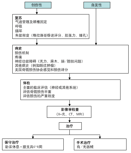 胸腰段椎体骨折的治疗