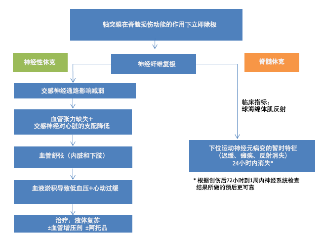 脊髓损伤