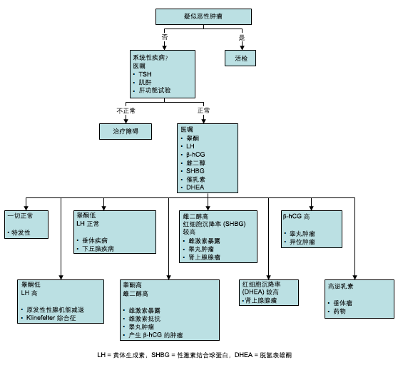 男性乳房发育症的评估
