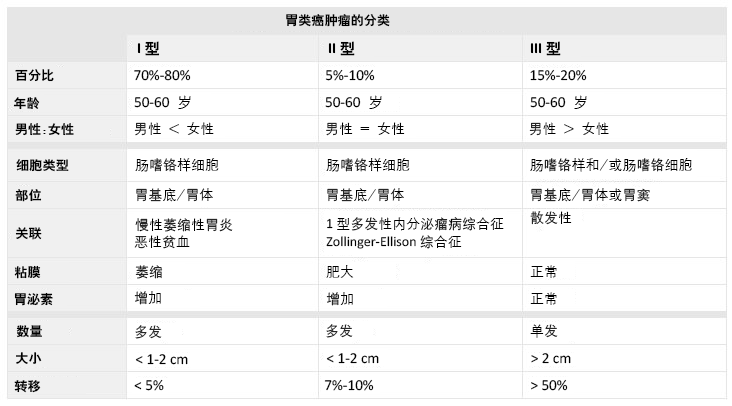 胃类癌肿瘤的分类