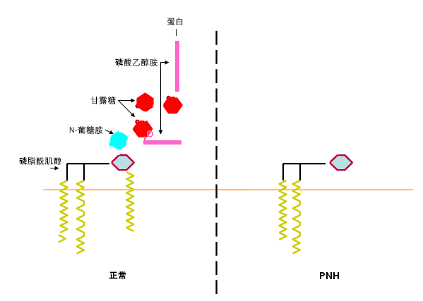 894-2-iline.gif