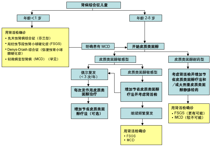 MCD 肾病综合征 (NS) 的治疗方案。FSGS：局灶性节段性肾小球硬化症；IV：静脉内