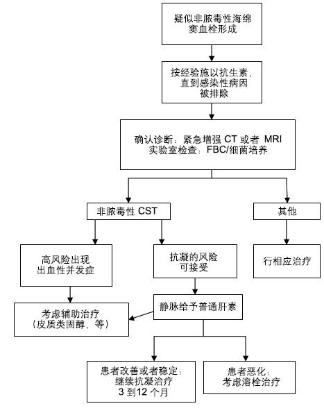 非脓毒性海绵窦血栓形成（CST）的治疗：