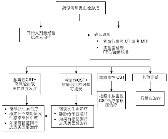 脓毒性海绵窦血栓形成（CST）的治疗：